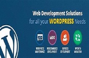 Acquire the professional WordPress developers in Melbourne