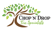 Extensive Range of Tree Services in Newcastle at Cheap Rates